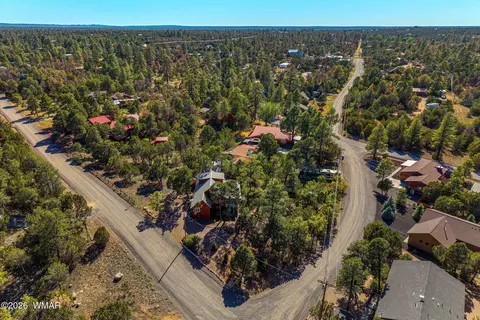 View/Area - 3370 Turkey Run, Overgaard, AZ 85928 photo 2 of 4