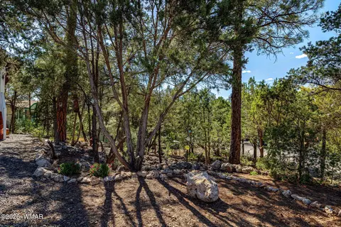 Exterior - 3370 Turkey Run, Overgaard, AZ 85928 photo 7 of 9