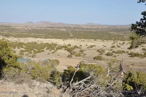 20 County Road 3044, Concho, AZ 85924