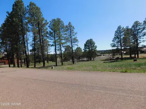 2215 Country Club Dr, Overgaard, AZ 85933
