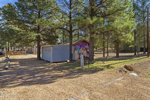 3381 Mogollon Dr, Overgaard, AZ 85933 photo 27