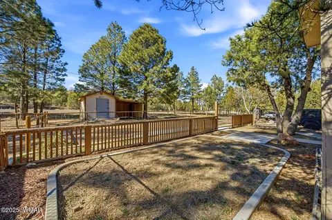 3381 Mogollon Dr, Overgaard, AZ 85933 photo 19