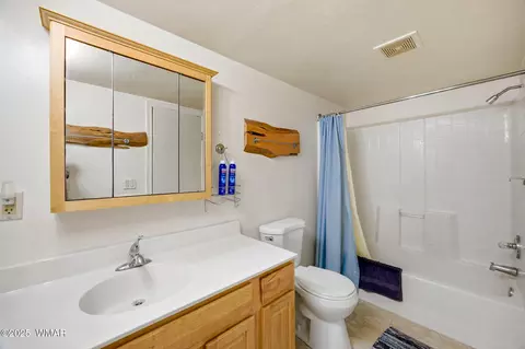 3381 Mogollon Dr, Overgaard, AZ 85933 photo 10