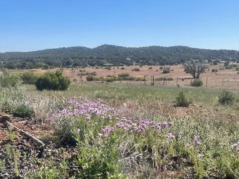 1751 Forest Service Rd 163, Clay Springs, AZ 85923