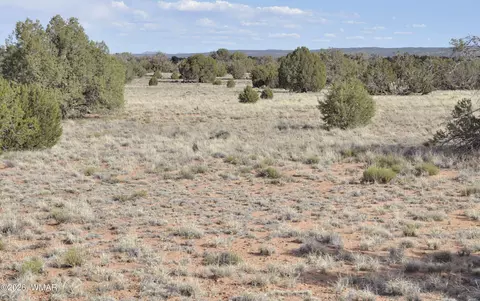 176 Cr N5549, Concho, AZ 85924