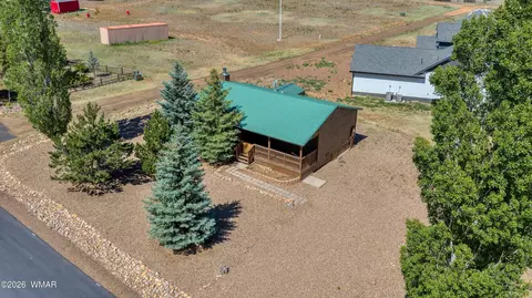 View/Area - 2722 Bain Trl, Overgaard, AZ 85933 photo 1 of 6