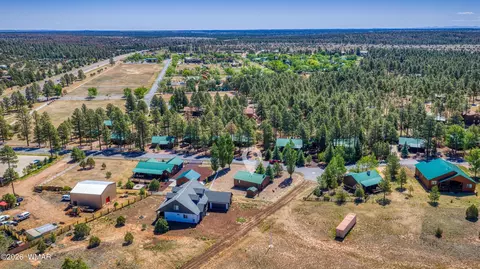 View/Area - 2722 Bain Trl, Overgaard, AZ 85933 photo 5 of 6