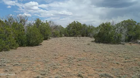 tbd Show Low Pnes #LOT 189, Concho, AZ 85924