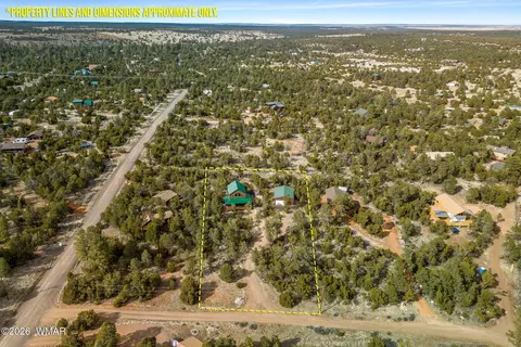 View/Area - 3331 Ox Bow Bnd, Overgaard, AZ 85933 photo 4 of 5