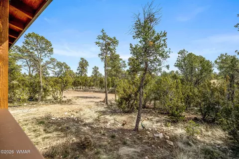 Exterior - 3331 Ox Bow Bnd, Overgaard, AZ 85933 photo 6 of 7
