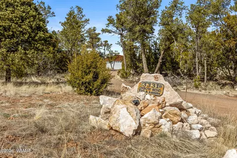 Exterior - 3331 Ox Bow Bnd, Overgaard, AZ 85933 photo 3 of 7