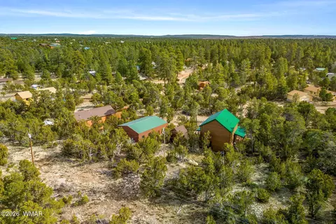 View/Area - 3331 Ox Bow Bnd, Overgaard, AZ 85933 photo 3 of 5