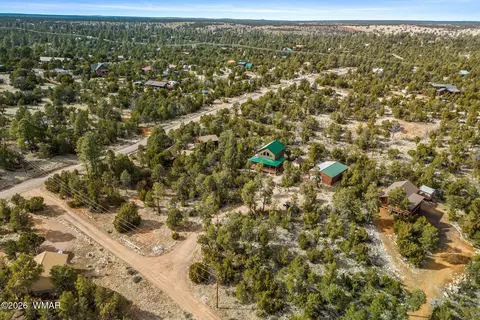 View/Area - 3331 Ox Bow Bnd, Overgaard, AZ 85933 photo 2 of 5