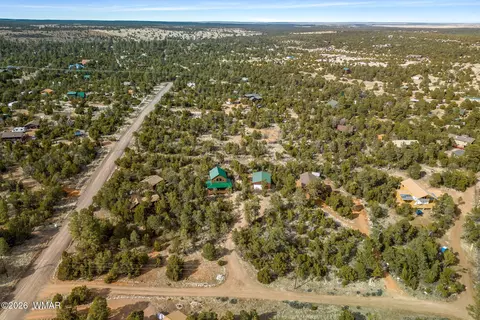 View/Area - 3331 Ox Bow Bnd, Overgaard, AZ 85933 photo 5 of 5