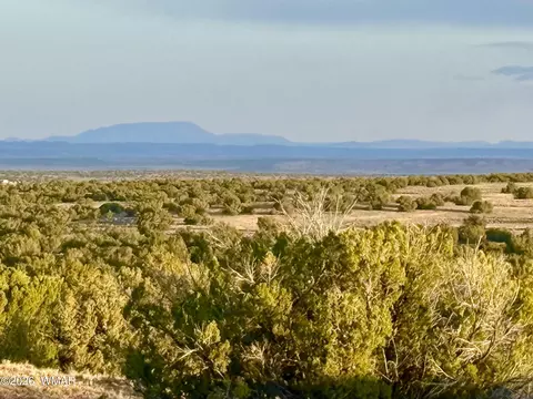 tbd Co Rd N7120 40 Acres, Saint Johns, AZ 85936