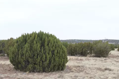21 County Rd, Concho, AZ 85924 photo 10