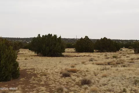 21 County Rd, Concho, AZ 85924 photo 6