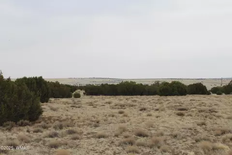 21 County Rd, Concho, AZ 85924 photo 9