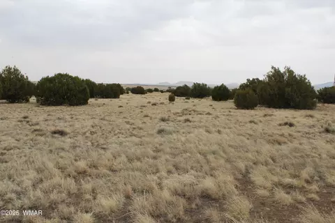 21 County Rd, Concho, AZ 85924 photo 22