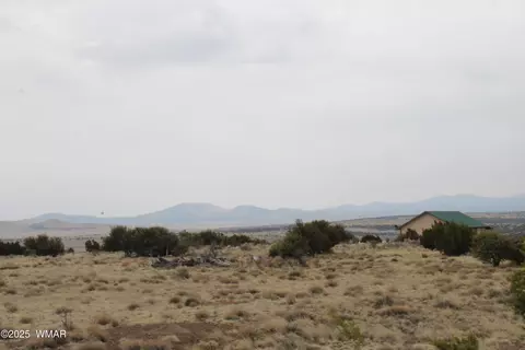 21 County Rd, Concho, AZ 85924 photo 4
