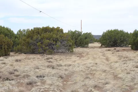 21 County Rd, Concho, AZ 85924 photo 2