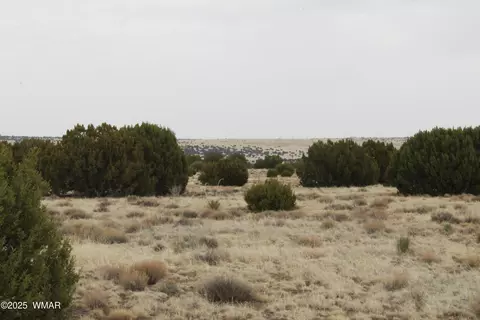 21 County Rd, Concho, AZ 85924 photo 19