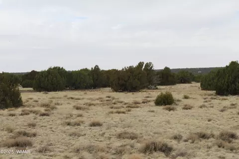 21 County Rd, Concho, AZ 85924 photo 12