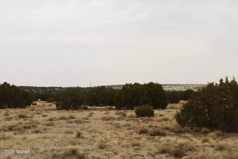21 County Rd, Concho, AZ 85924 photo 7