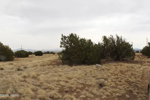 21 County Rd, Concho, AZ 85924 photo 20