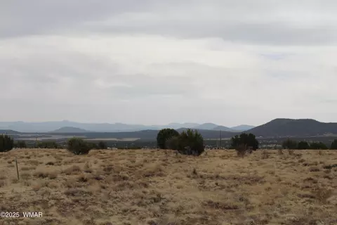 21 County Rd, Concho, AZ 85924 photo 14