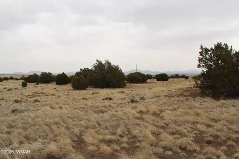 21 County Rd, Concho, AZ 85924 photo 21