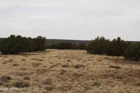 21 County Rd, Concho, AZ 85924 photo 11