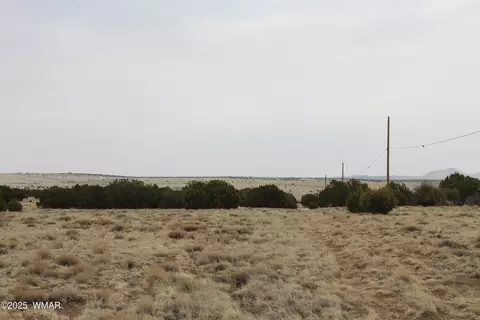 21 County Rd, Concho, AZ 85924