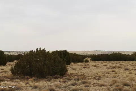 21 County Rd, Concho, AZ 85924 photo 8