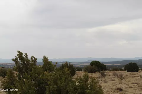 21 County Rd, Concho, AZ 85924 photo 3