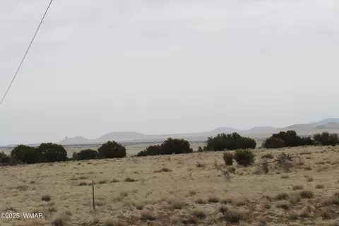 21 County Rd, Concho, AZ 85924 photo 5