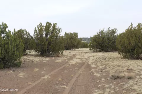 21 County Rd, Concho, AZ 85924 photo 15