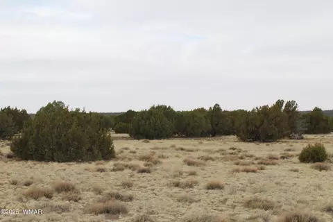 21 County Rd, Concho, AZ 85924 photo 13