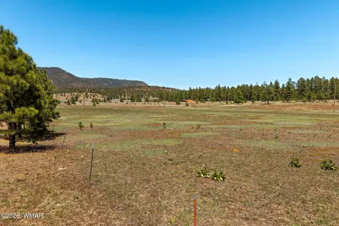 16 County Road 2089, Alpine, AZ 85920