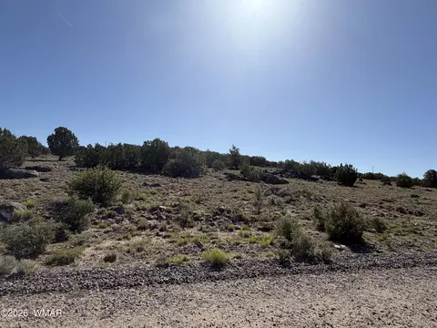 lot49 Windsor Valley Ranch Dr, Concho, AZ 85924