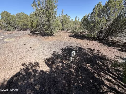 lot199 Road Rd, Vernon, AZ 85940