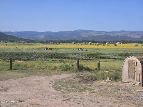tbd E Fleetwood Ave, Springerville, AZ 85938