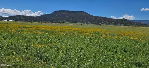 tbd E Fleetwood Ave, Springerville, AZ 85938 photo 5