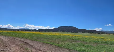 tbd E Fleetwood Ave, Springerville, AZ 85938 photo 2