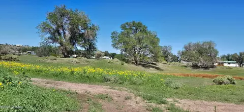 tbd E Fleetwood Ave, Springerville, AZ 85938 photo 3