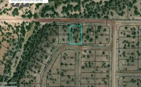 tbd Cr 5166, Concho, AZ 85924