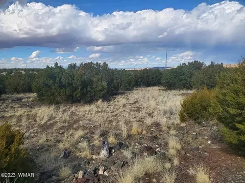 tbd Cr 5166, Concho, AZ 85924 photo 4