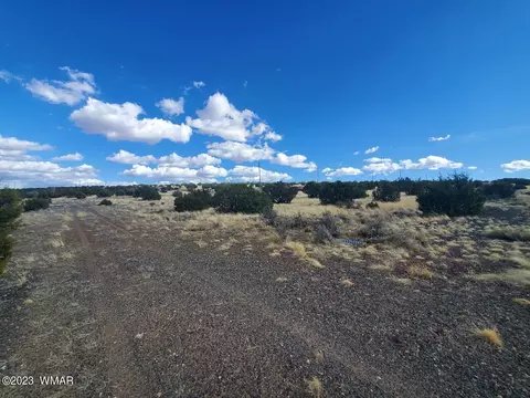 tbd Cr 5166, Concho, AZ 85924 photo 3