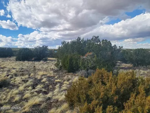 tbd Cr 5166, Concho, AZ 85924 photo 5