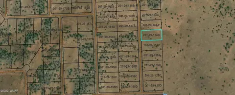 tbd Cr 5111, Concho, AZ 85924